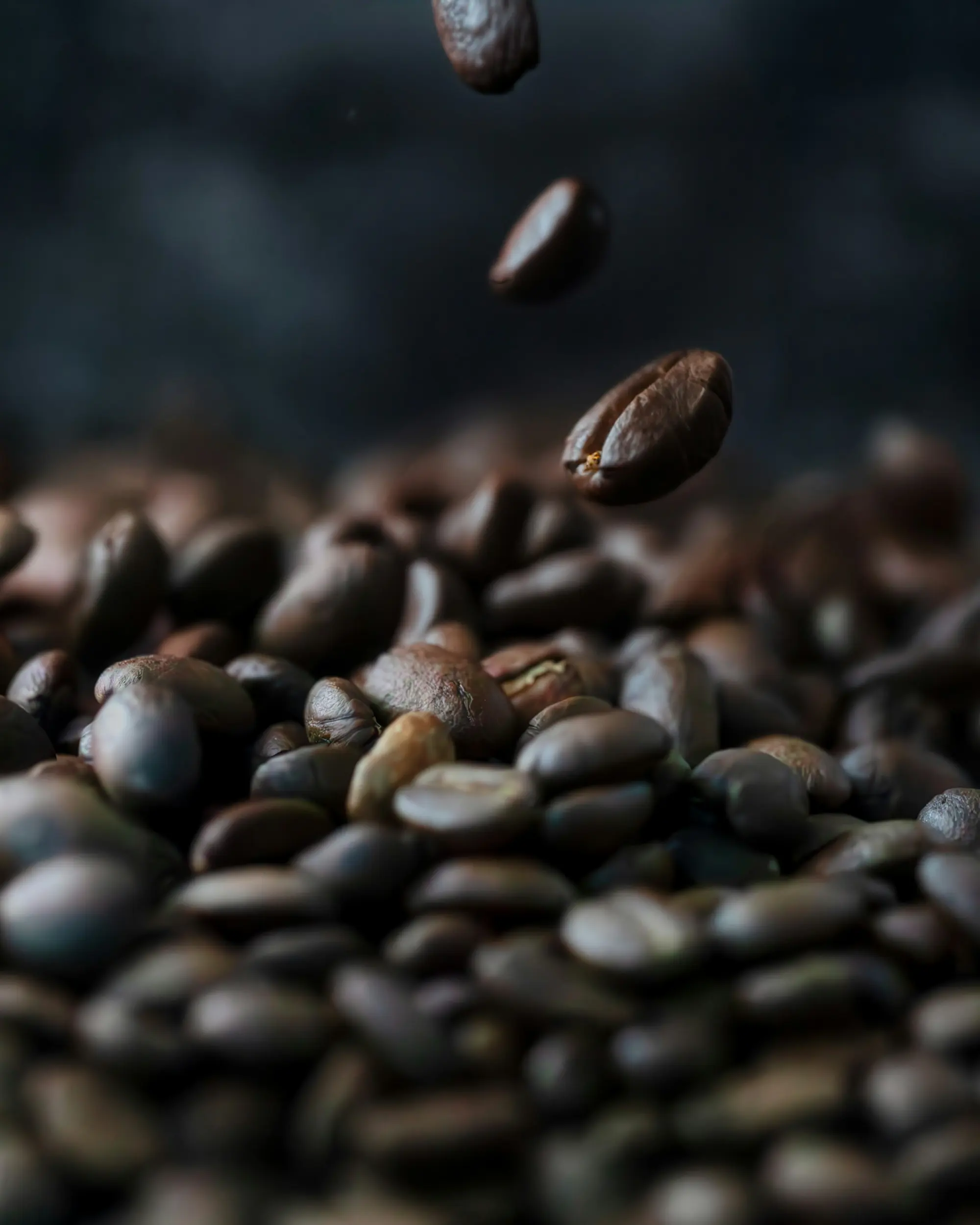Freshly roasted coffee beans