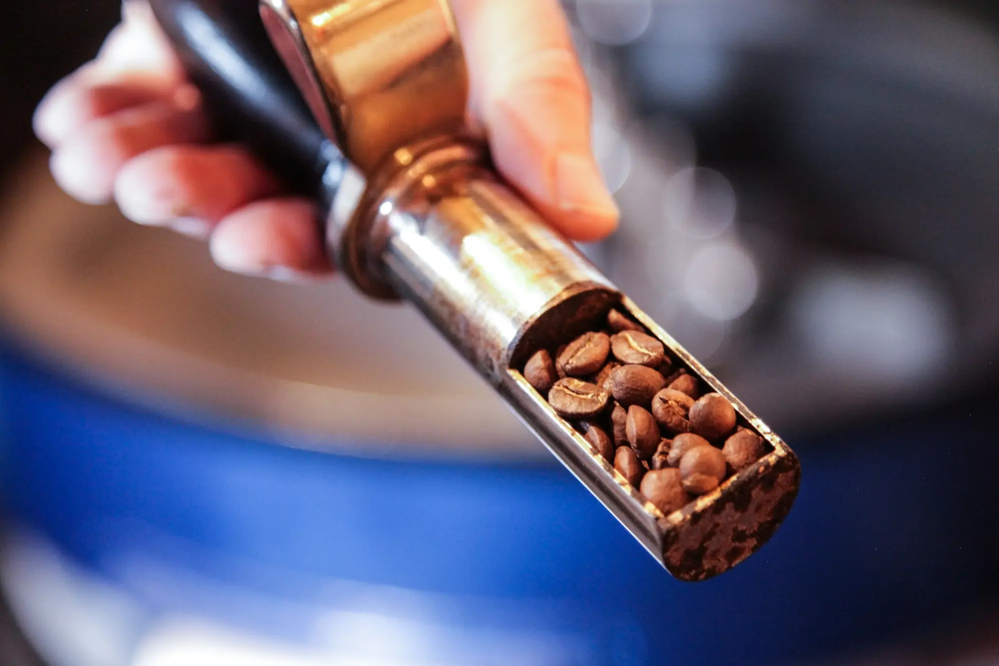 A hand pulling a sample of beans from the roaster