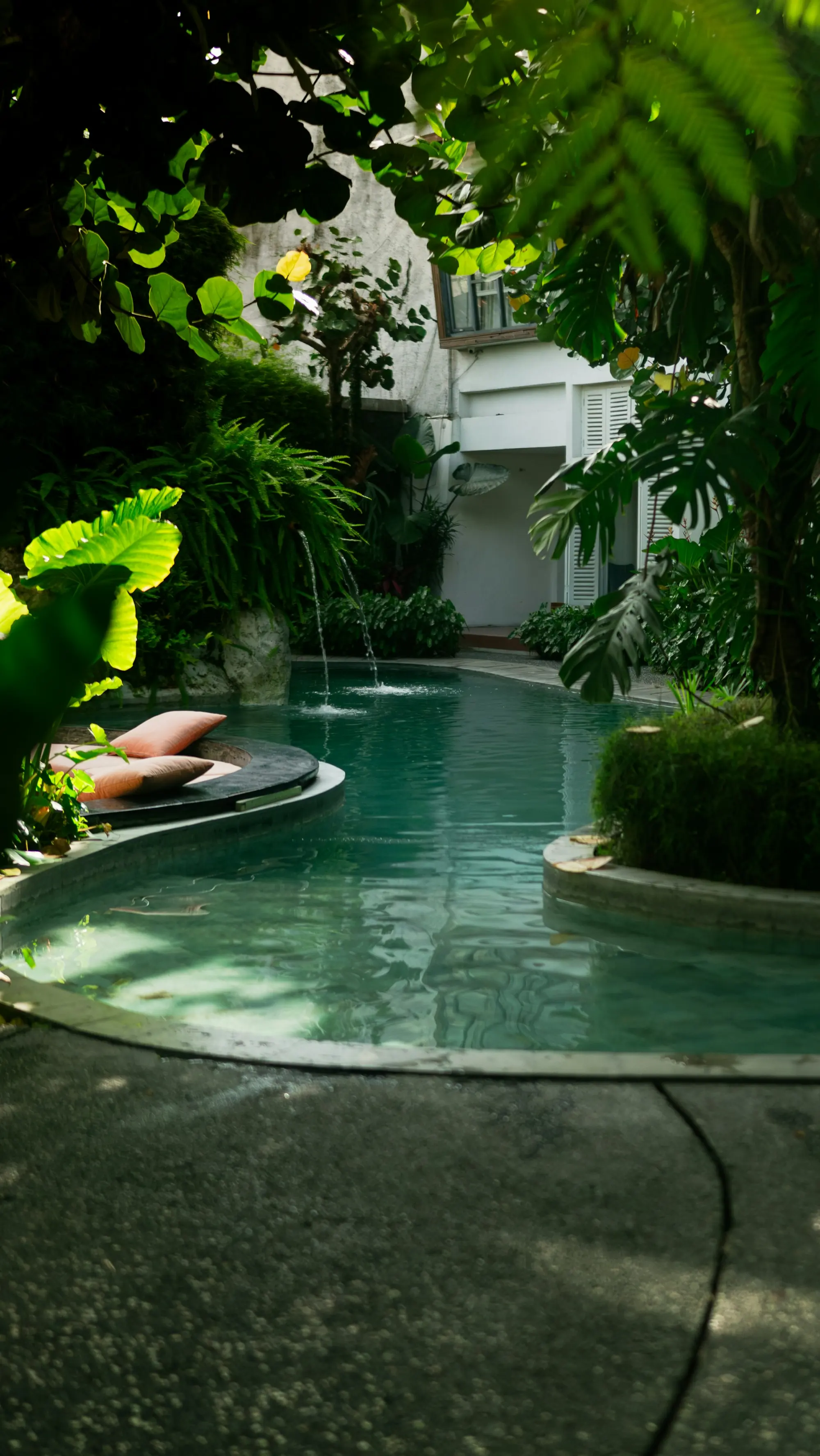 A lagoon pool among tropical plants